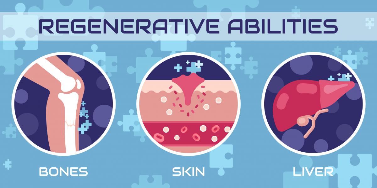 A Quick Glance at Regenerative Medicine Over the Years and How It Can Help You