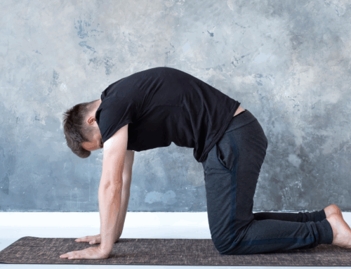 The Best Low-Impact Exercises for Strengthening Your Lower Back