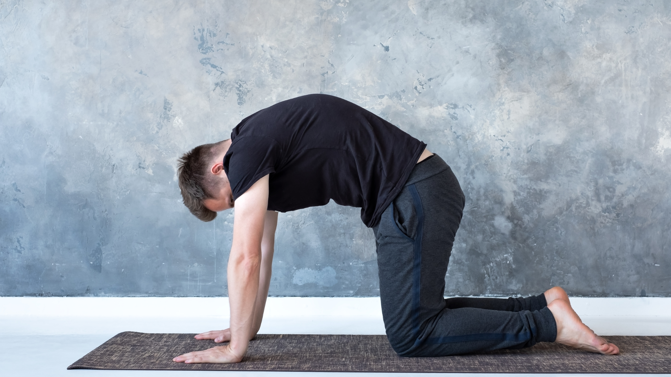 low-impact exercises for strengthening your lower back